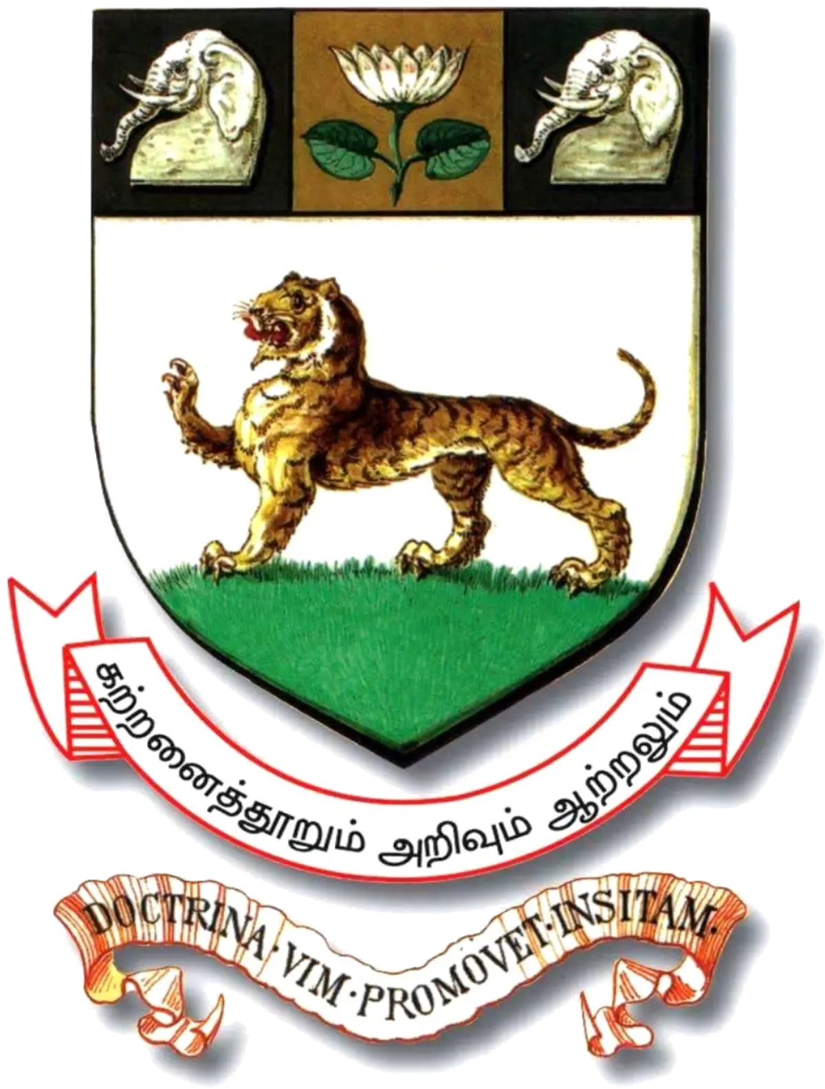 M.Sc. in Computer Science